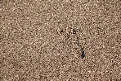 女权组织曾让《GTA5》成功下架 现在又瞄上马斯克的X、要求下架成人视频